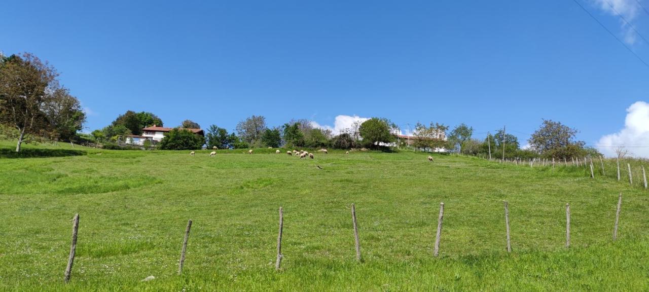 Espacioso apartamento en el corazon del Pais Vasco Mallavia Exterior foto